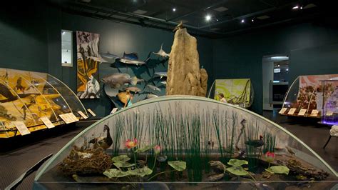 Home gallery favourites posts shop about. Museum and Art Gallery of the Northern Territory in Darwin ...