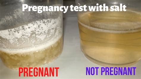 How To Take A Pregnancy Test With Salt Pregnancy Test At Home
