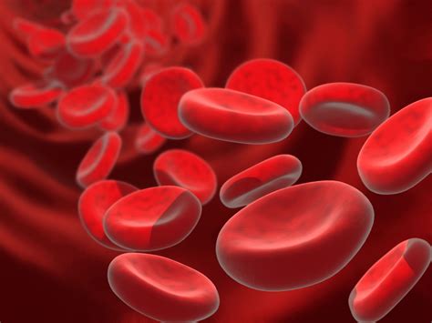 المادة الحمراء في كريات الدم