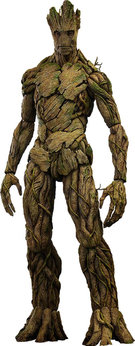 Groot Png Image Png All Png All