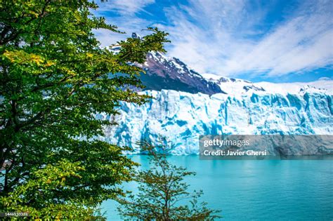 Perito Moreno Glacier And Nature Argentino Lake Los Glaciares National