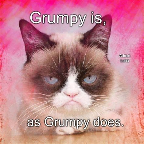 Funny Grumpy Cat Backgrounds