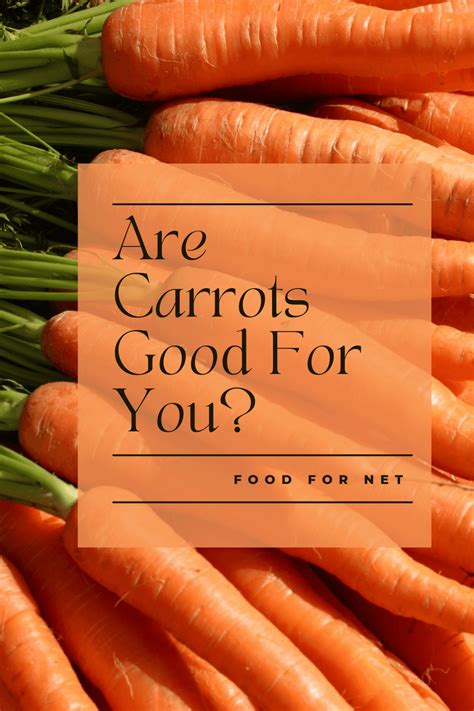 Are Carrots Good For You Food For Net