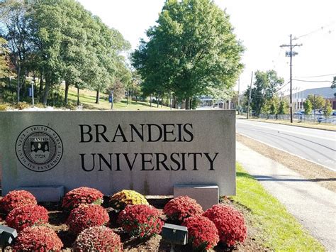 Brandeis University Receives $10 million Gift | Waltham, MA Patch