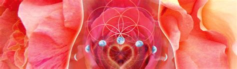 Womb Awakening And Healing The Infinite Divine