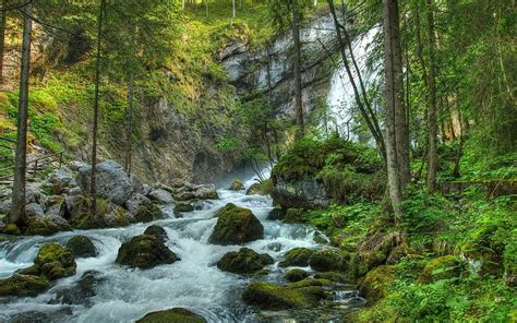Hd Wallpaper Nature Mountain Dense Spruce Forest River Rock Waterfall