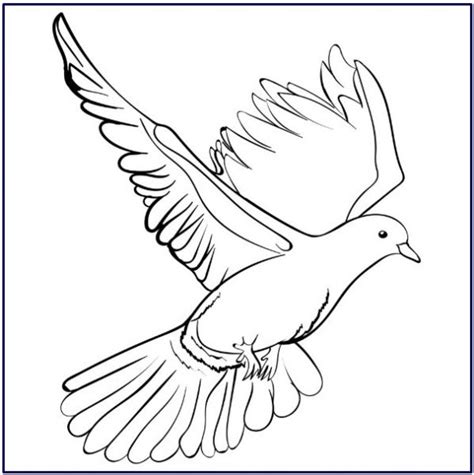 Dengan paruh kemerahan serta jambul unik di kepalanya menambah nilai dari burung ini. Gambar Burung Merpati Putih Kartun - Gambar Burung