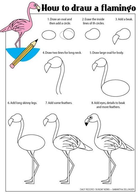 10 How To Draw A Flamingo Ideas In 2021