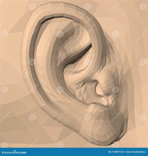 Polygonal Model Of The Human Ear Side View 3d Stock Vector