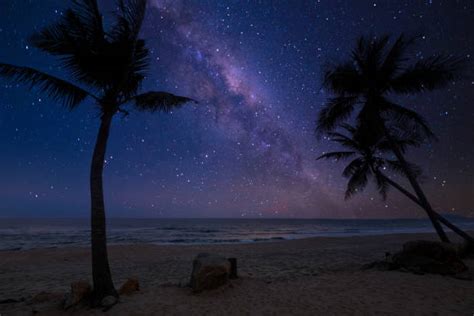 Starry Night Beach Stock Photos Pictures And Royalty Free Images Istock