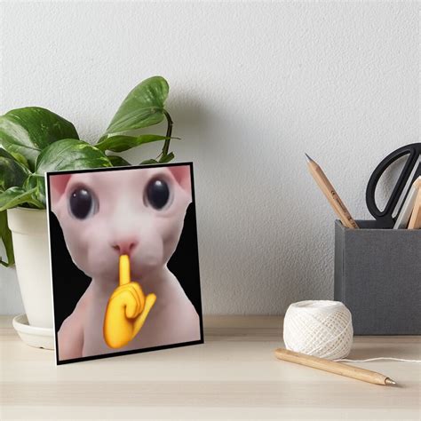 Hd Bingus Shushing Cat Face Meme Art Board Print For Sale By