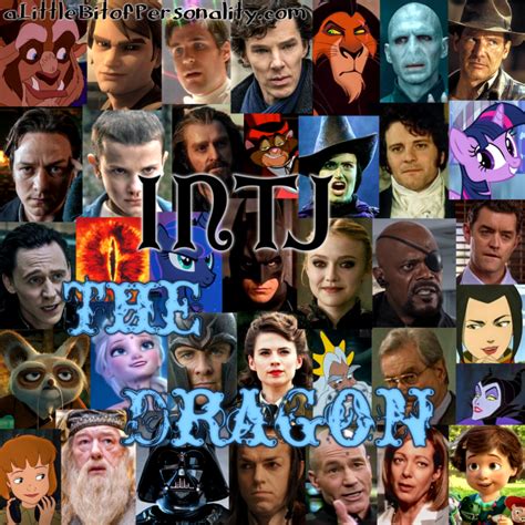 Type Heroes: INTJ - The Dragon | A Little Bit of Personality