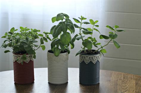 Kitchen Herb Planters Repurposed Patriotic Tin Cans