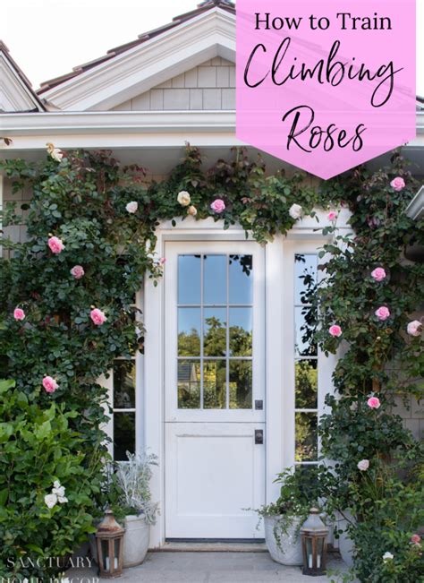 A White Door With Pink Roses On It And The Words How To Train Climbing
