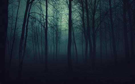 Free Download Dark Scary Forest Background Images Pictures Becuo The