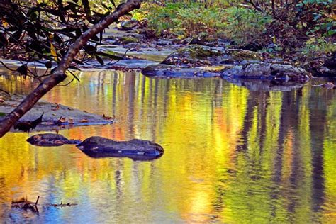 Water Reflections In A Small Mountain Stream Stock Image Image Of