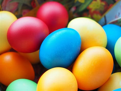 Tipp Zu Ostern Für Gesundheit Und Tierwohl Wenn Schon Ei Dann Keins Mit 3 Germersheim