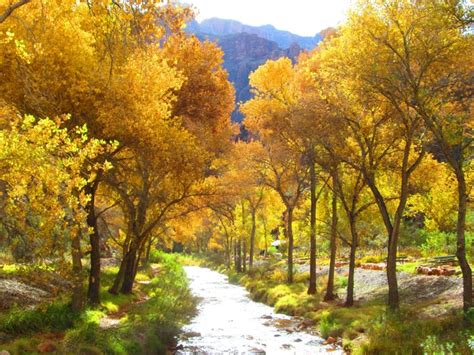 Best Places To See Arizonas Fall Colors