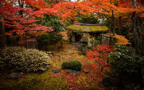 Jeffrey Friedls Blog Tea And Sweets Among The Fall Colors At Kyotos