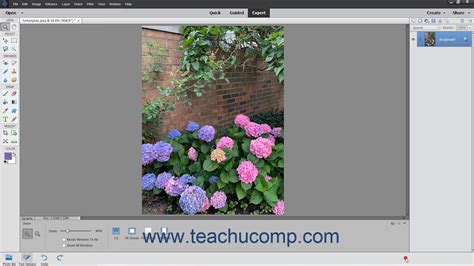 Photoshop Elements 2021 Tutorial Applying Effects Adobe Training Youtube