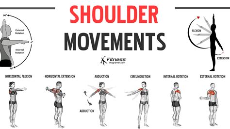 9 Shoulder Joint Movements Anatomy And Function