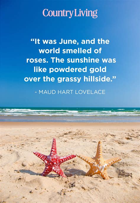 10 Summer Quotes To Get You Ready For The Hot Weather Cobphotos