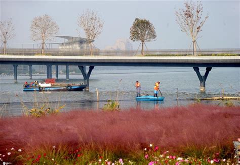 Yangtze River Red