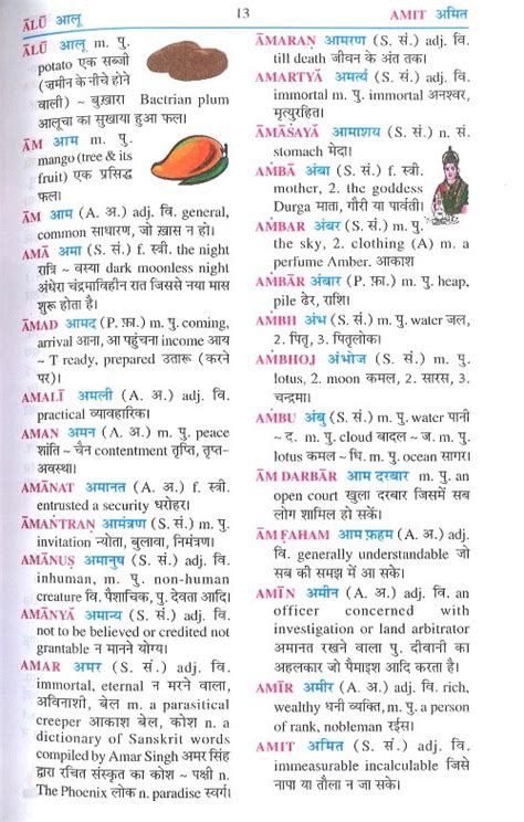 Schands Hindi English Hindi Dictionary