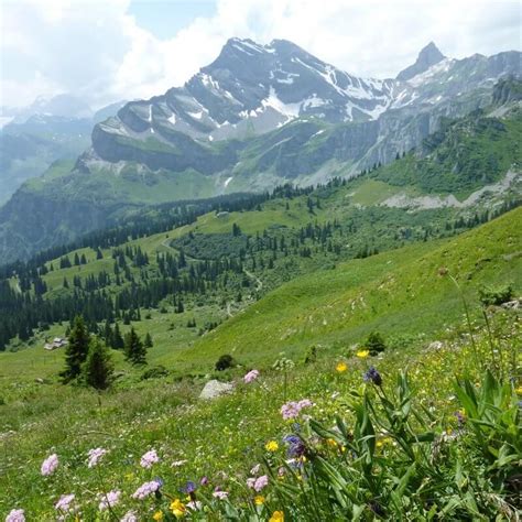 Heres A Scenic Hike In Braunwald During Summer 🥾 Scenic Switzerland