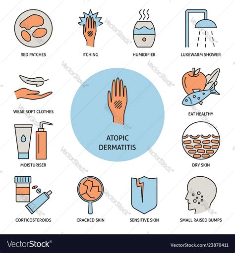 Atopic Dermatitis Symptoms And Treatment Banner Vector Image