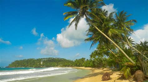 Sri Lankas Most Beautiful Beaches Top Pharmacy Schools