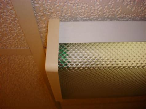 Fluorescent Ceiling Light Fixture Covers Review Home Co