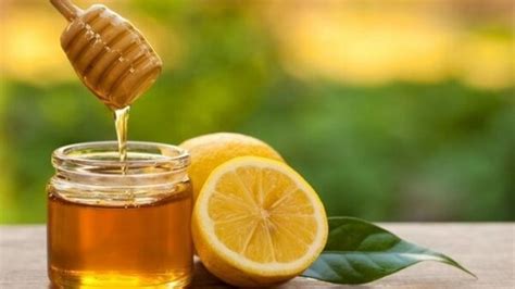 (madu amanah rimba) khasiat minum air perasan jeruk lemon campur madu di pagi hari untuk kesehatan tubuh, manfaat meminum perasan sari jeruk nipis campur madu waktu pagi hari. 4 Cara Membuat Lemon Madu Enak dan Sehat | ZAMS Herbalist
