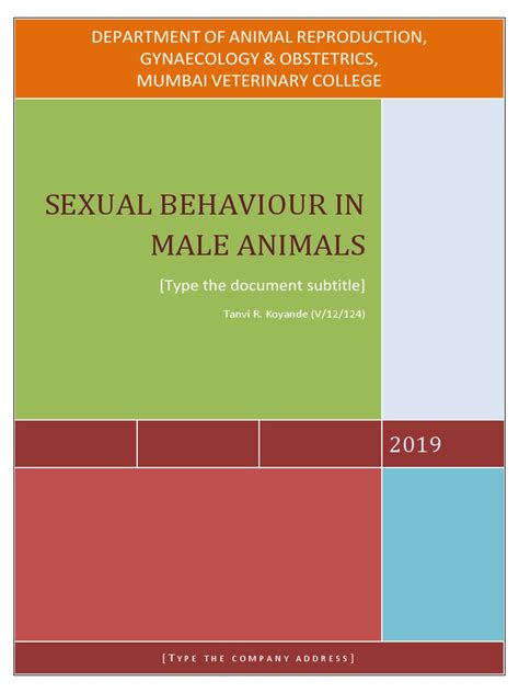 Sexual Behaviour In Male Animals Pdf Penis Ejaculation