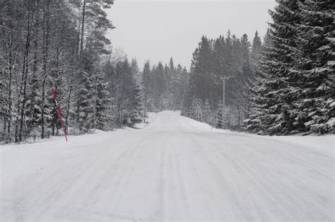 Road And Spruces Covered With Snow Stock Photo Image Of Drive