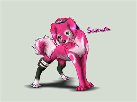 Sakura Dog Form By Sugarseme On Deviantart