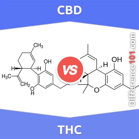 Cbd Vs Thc 6 Key Differences Pros And Cons Examples Difference 101