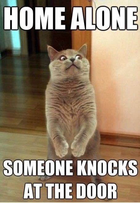 See The Incredible Funny Cat Memes Dirty 2017 Hilarious Pets Pictures