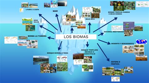 Biomas Mapas Conceptuales Images Sexiz Pix