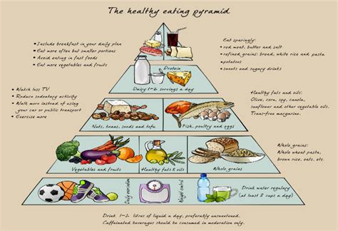 The Best Strategy For Healthy Lifestyle Article | Digital ...