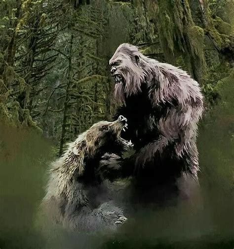 Bear Versus Sasquatch