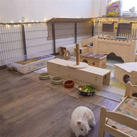 21 Most Adorable Indoor Bunny Cage Ideas Obsigen