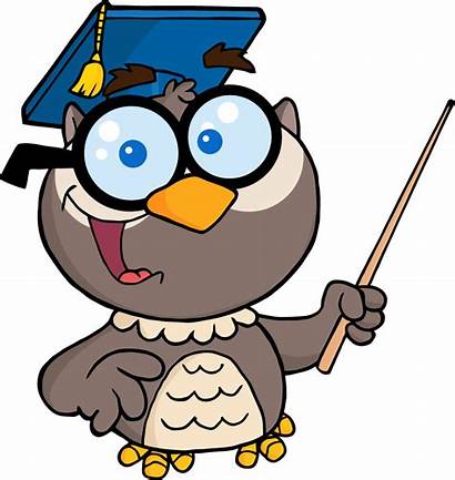 Clipart Studies Social Teacher Math Owl Cartoon