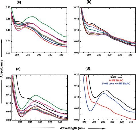 UV Visible Spectra Of ANS In PNIPAM Aqueous Solution Containing A Download Scientific Diagram