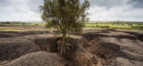 Soil Erosion Global Soil Partnership Food And Agriculture