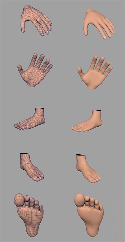 Hand And Foot Character Modeling 3d Modeling Topology Stylized