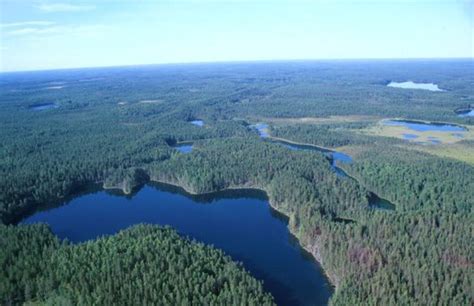 Russian Forests Benefit From Satellite Imagery