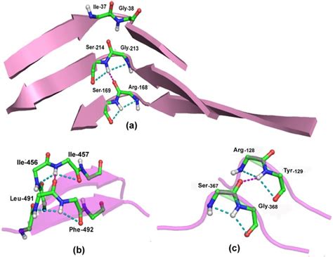 A Novel Secondary Structure Based On Fused Five Membered Rings Motif