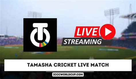 Tamasha Cricket Live Match World Cup Live Streaming Free Icc