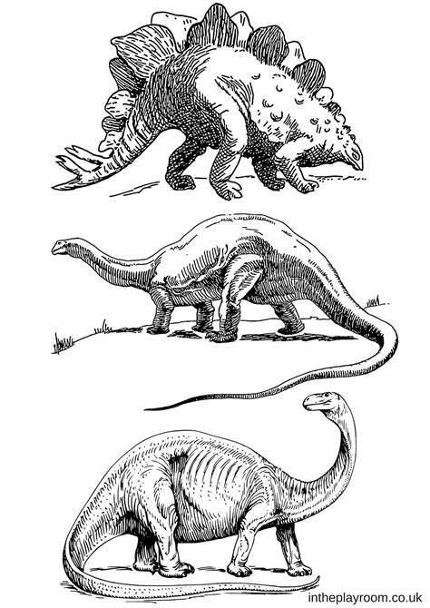 Coloring Set Dinosaurs - BubaKids.com